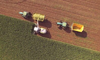 Large farm equipment harvesting produce