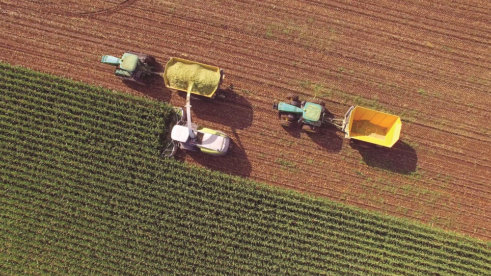 Large farm equipment harvesting produce