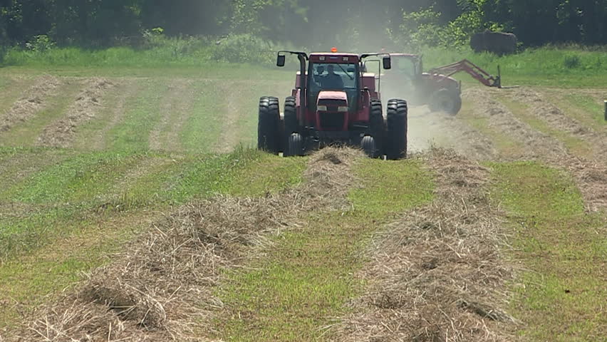 making-hay