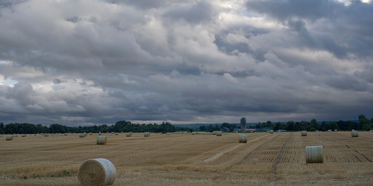 Haystack field