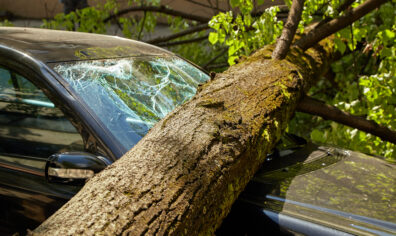 You Passed the Test. You Got the Keys — Now Make Sure You Have the Right Coverage