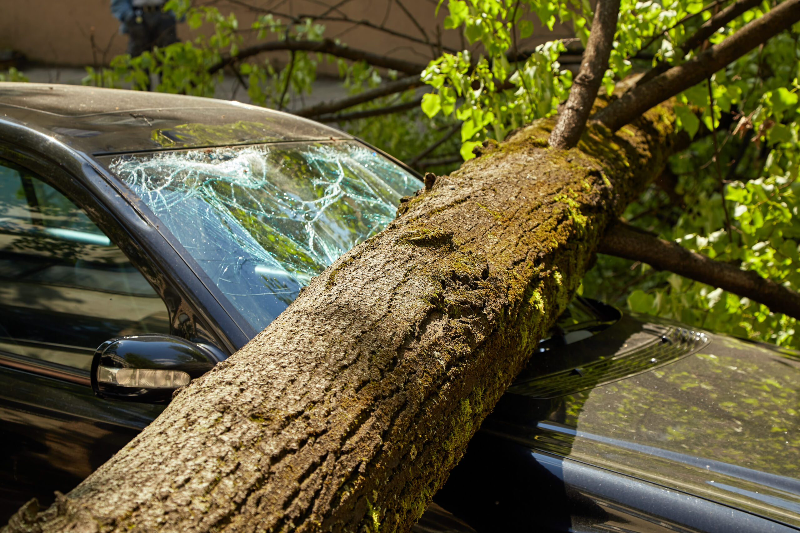 You Passed the Test. You Got the Keys — Now Make Sure You Have the Right Coverage