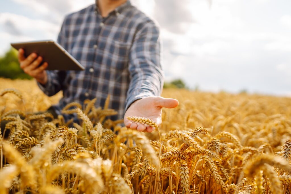 How to Choose the Right Insurance Provider for Your Farm